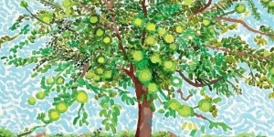 梁朝伟新片《寂静的朋友》上映，嘿！来抱抱树吧