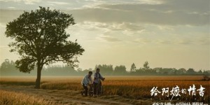 预测票房破10亿 《给阿嬷的情书》们不止于此！