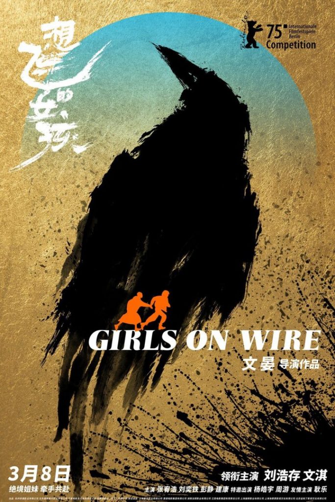 《想飞的女孩》超清资源下载百度云网盘「HD720P/3.2G-MKV」国语版