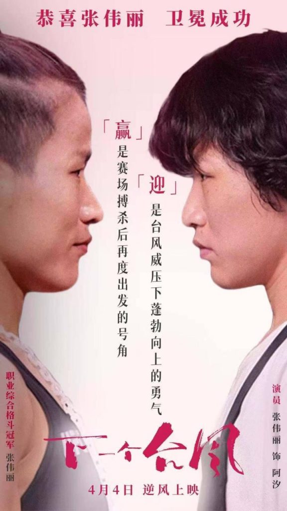 《下一个台风》资源下载【HD1080P/3.3G-MKV】国语版TC版网盘