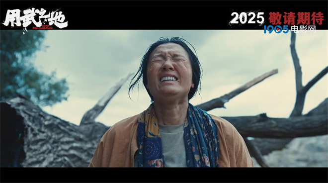 20250401104138190723 20250401104138190723